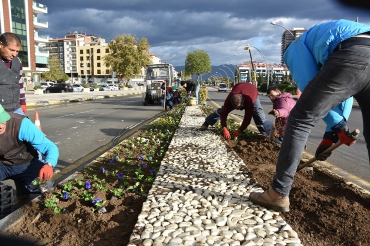 Alaşehir Çiçekle Renklendi
