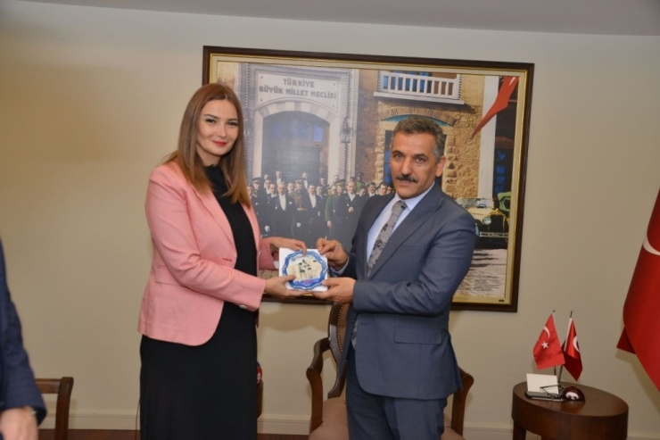 Azeri Milletvekili Paşayeva’dan 100 Yılın Projesine Övgü