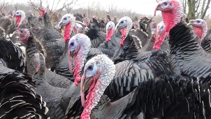 Yılbaşı Gecesi Sofraları Süsleyecekler