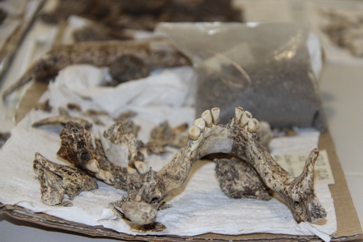 İstanbul’un Tarihi Yeniden Ortaya Çıkıyor