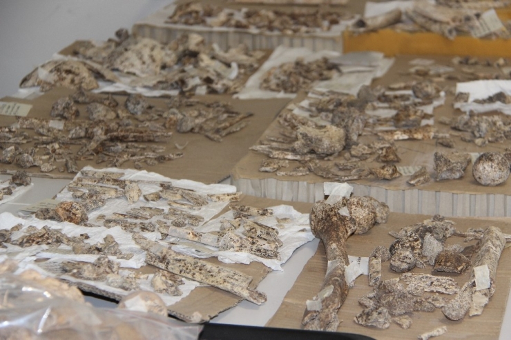 İstanbul’un Tarihi Yeniden Ortaya Çıkıyor