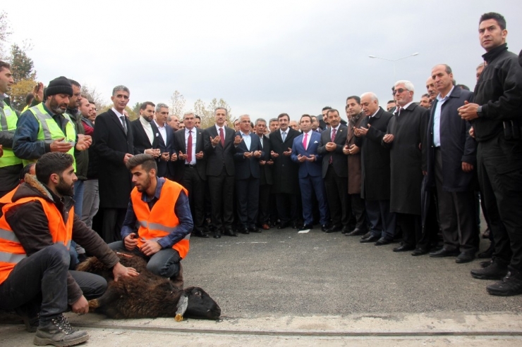 Bingöl Çapakçur Viyadüğü Hizmete Açıldı