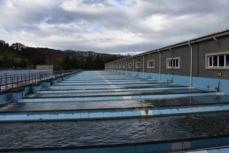 Başkan Yılmaz: “Bizim Suyumuz, Şişe Sularından Daha Rafine”