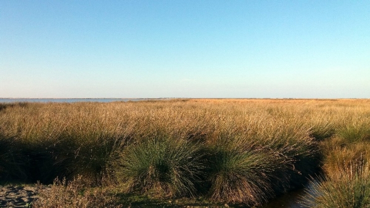 Samsun’da Sonbahar