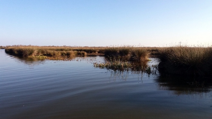 Samsun’da Sonbahar