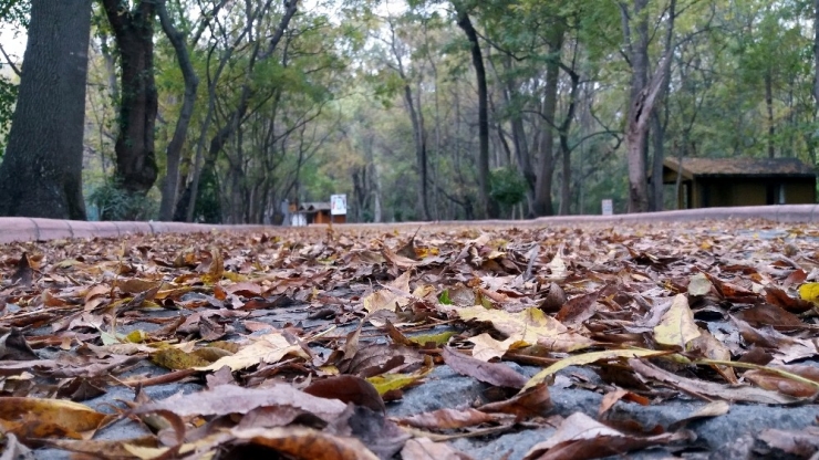 Samsun’da Sonbahar