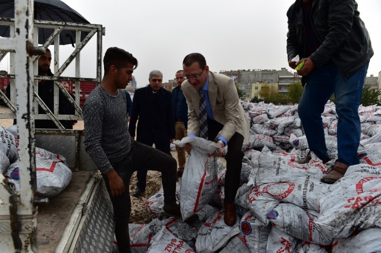 İhtiyaç Sahibi Aileler İçin Kömür Dağıtımına Başlandı