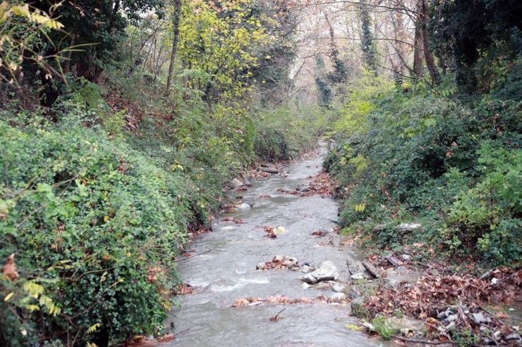 Saski Ekipleri İstanbuldere’de Temizlik Çalışması Gerçekleştirdi