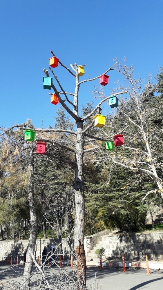 Simav’da Ağaçlara Kuş Yuvası