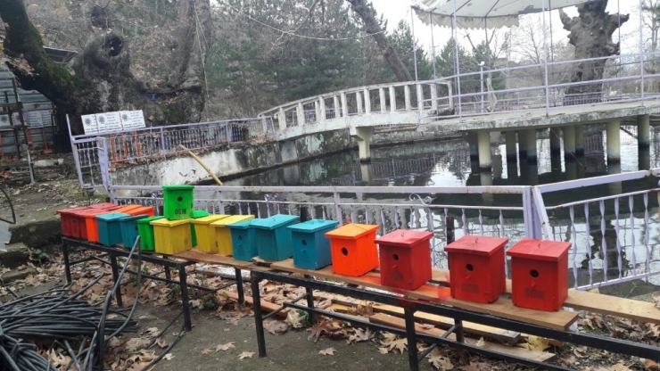 Simav’da Ağaçlara Kuş Yuvası