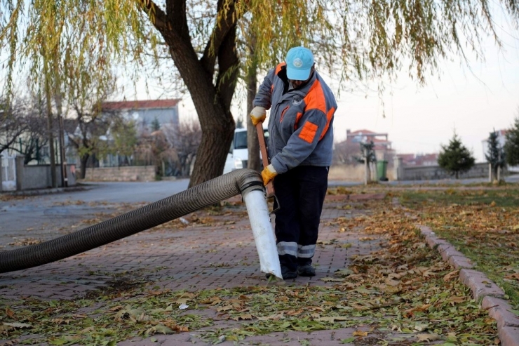 Talas Belediyesi Ekipleri Kuru Yaprakları Gübreye Dönüştürüyor