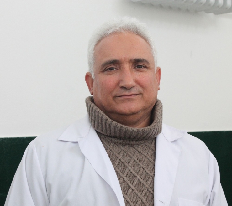 Köpeklerin Yaraladığı Dağ Keçisi Tedavi Altına Alındı