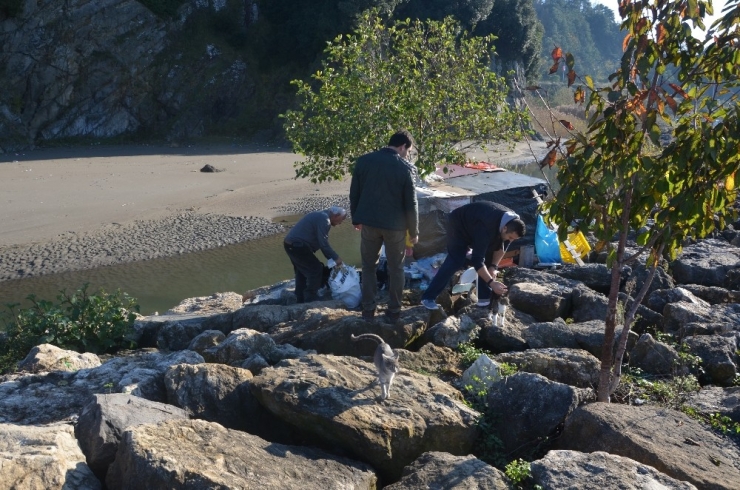 19 Yıldır Emekli Maaşını Sokak Kedilerine Harcıyor