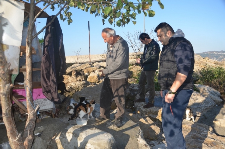 19 Yıldır Emekli Maaşını Sokak Kedilerine Harcıyor