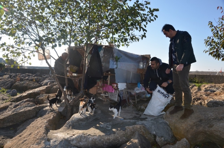 19 Yıldır Emekli Maaşını Sokak Kedilerine Harcıyor