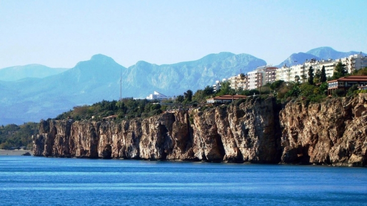 Fok Ölümlerinin Sebebi İnsanlar