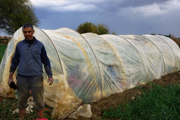 Yağmur Çamur Demeden Soğan İşliyorlar