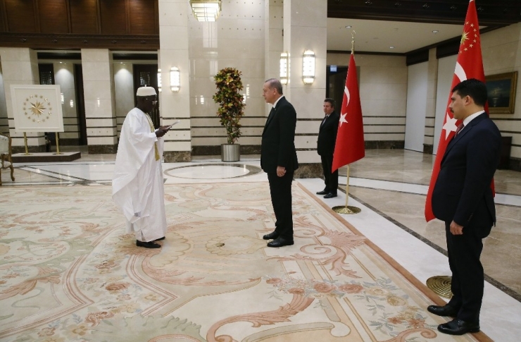 Cumhurbaşkanı Erdoğan, Gambiya Büyükelçisini Kabul Etti