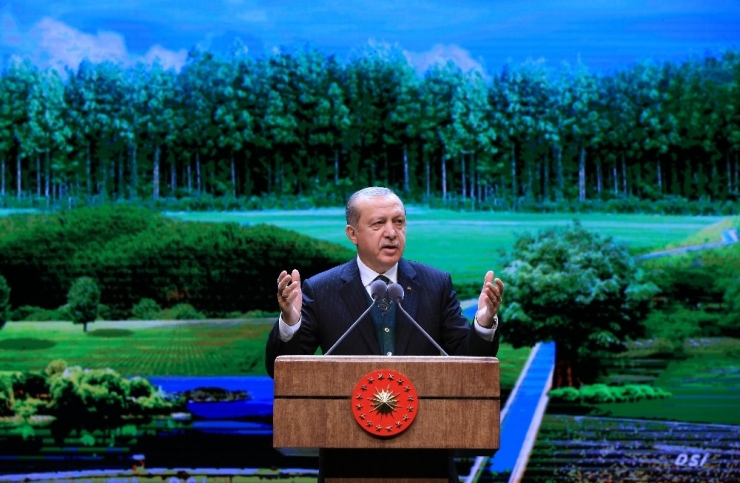 Cumhurbaşkanı Erdoğan’dan Taşeron Müjdesi