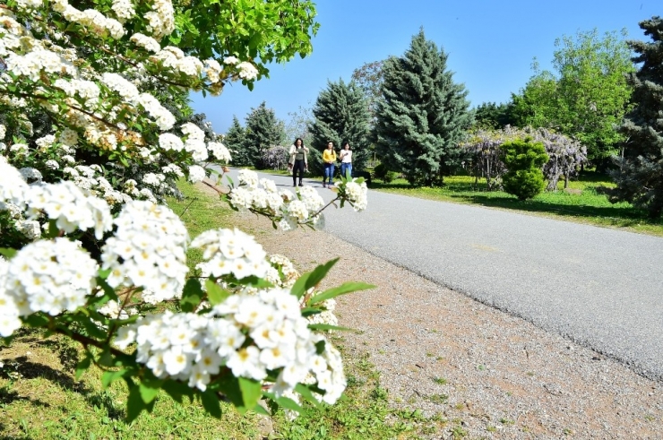 Ab’den Büyükşehir’e Hibe Desteği Geldi