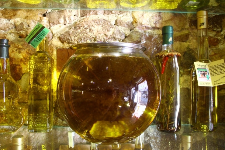 Sağlık İçin Zeytinyağında Erken Hasat Ve Soğuk Sıkımı Tercih Edin