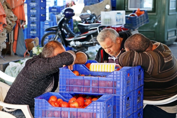 Antalya’daki Hortum Felaketi Sonrası Domates Ve Biberde Zam Beklentisi