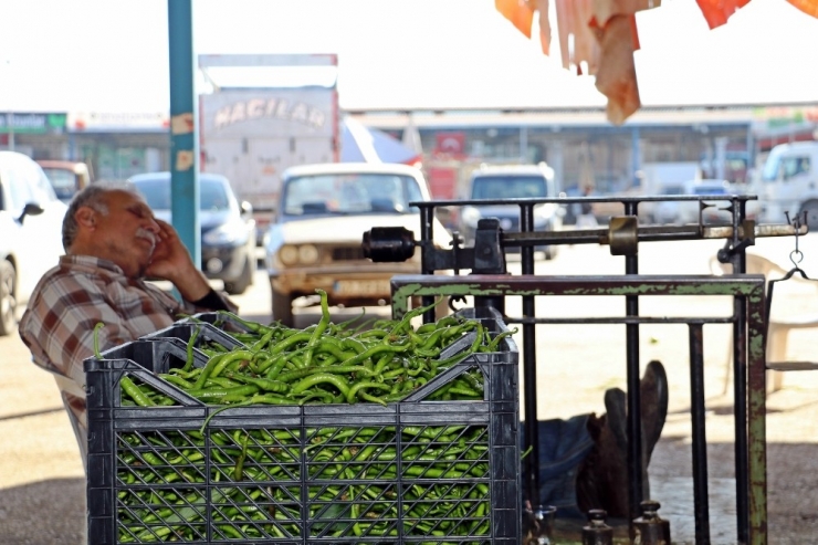 Antalya’daki Hortum Felaketi Sonrası Domates Ve Biberde Zam Beklentisi