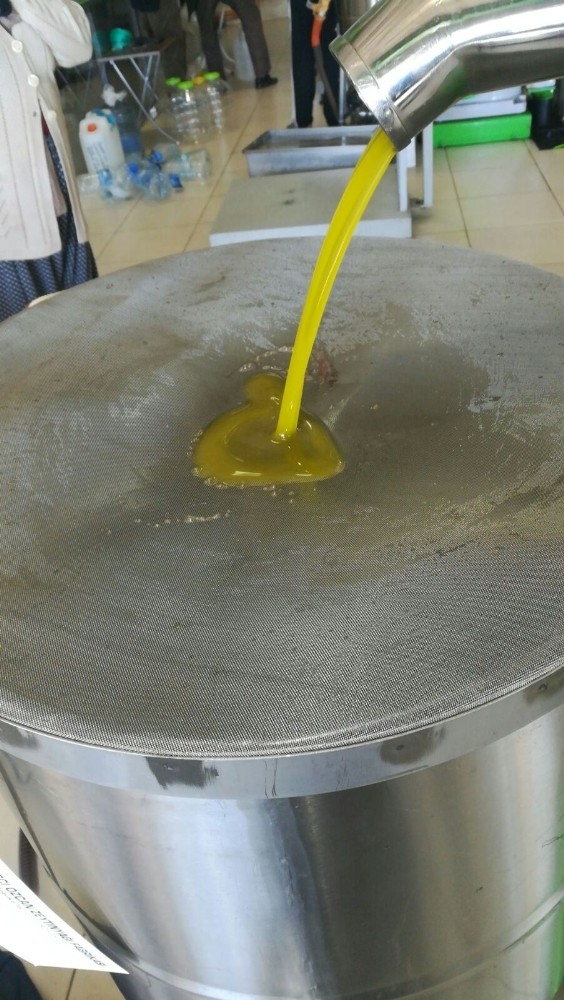 Döşemealtında Zeytin Hasadı