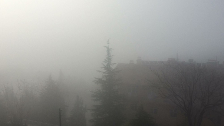 Elazığ’da Sis Etkili Oldu