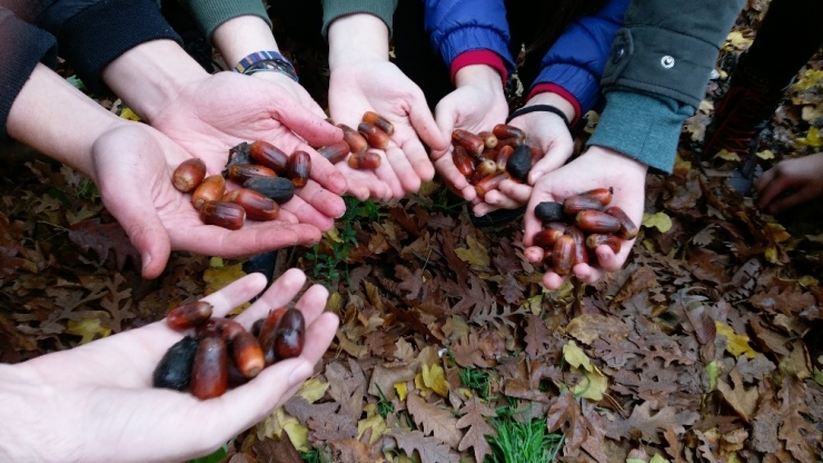 Kartepe’de Toprağa Saygı Yürüyüşü Gerçekleştirildi