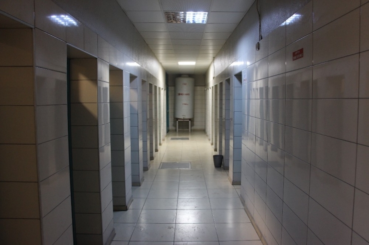 Bu Tuvalete Şifa İçin Geliyorlar