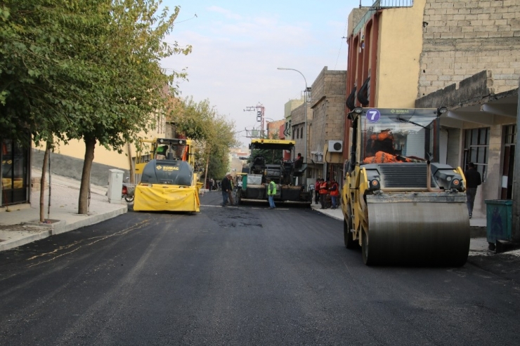 Şeyh Mes’ud Türbesi Yolu Revize Edildi
