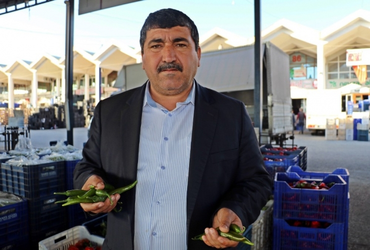 Antalya’daki Hortum Felaketi Sonrası Domates Ve Biberde Zam Beklentisi