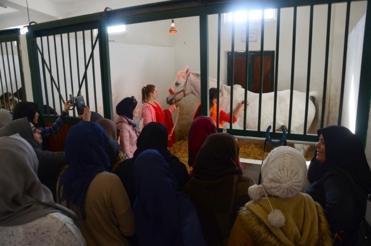 Mülteci Kadınlar Esogü’de Ata Binerek Stres Attılar