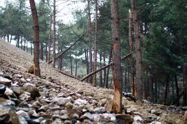 Ormana Moloz Döken Firmaya 355 Bin Lira Ceza