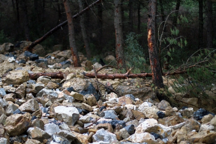 Ormana Moloz Döken Firmaya 355 Bin Lira Ceza