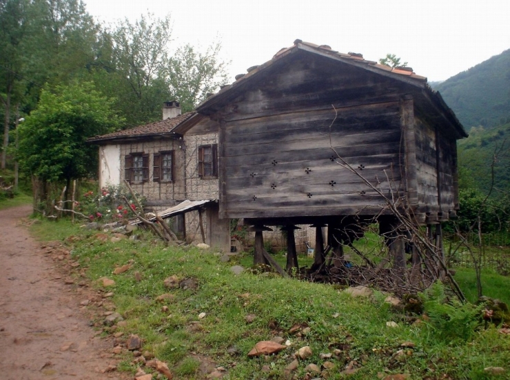Karadeniz Serenderden Vazgeçmiyor