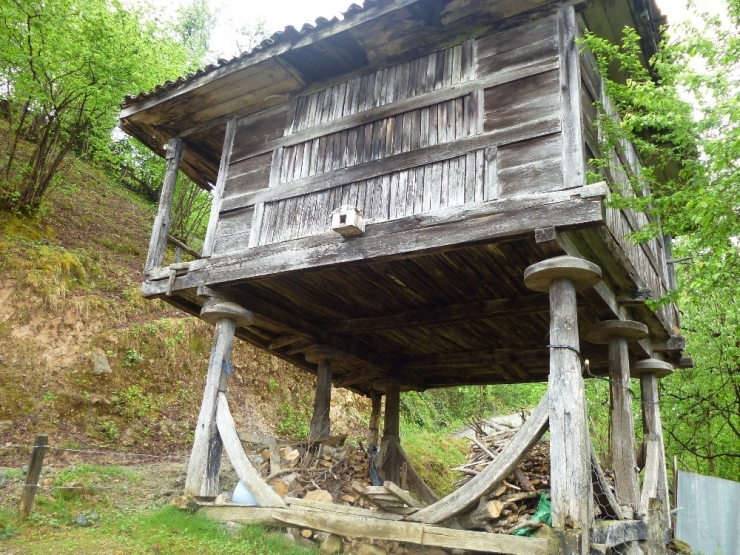 Karadeniz Serenderden Vazgeçmiyor