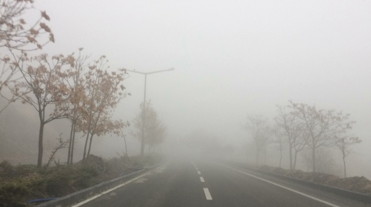 Elazığ’da Yoğun Sis