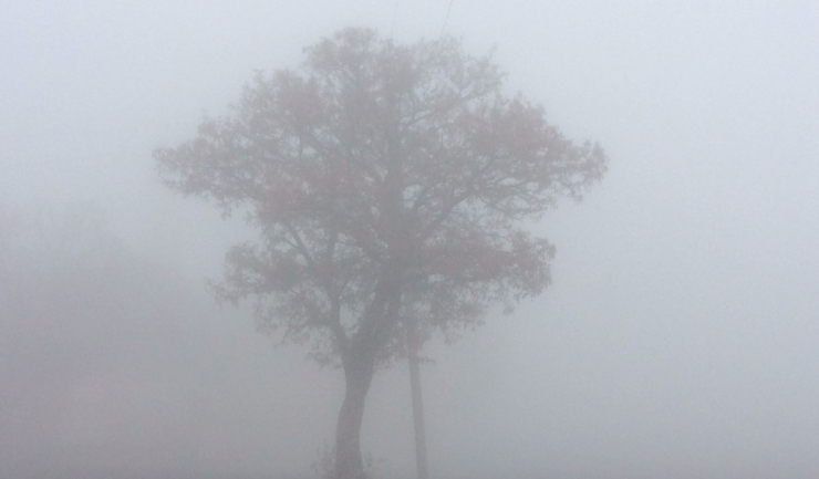 Elazığ’da Yoğun Sis