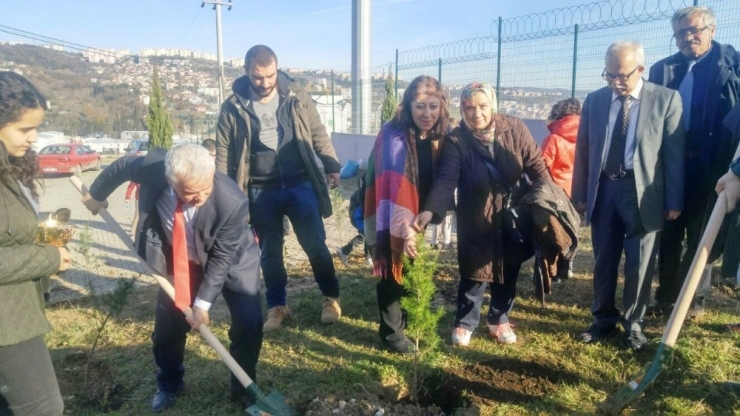 Cephaneliğe Fidan Dikildi