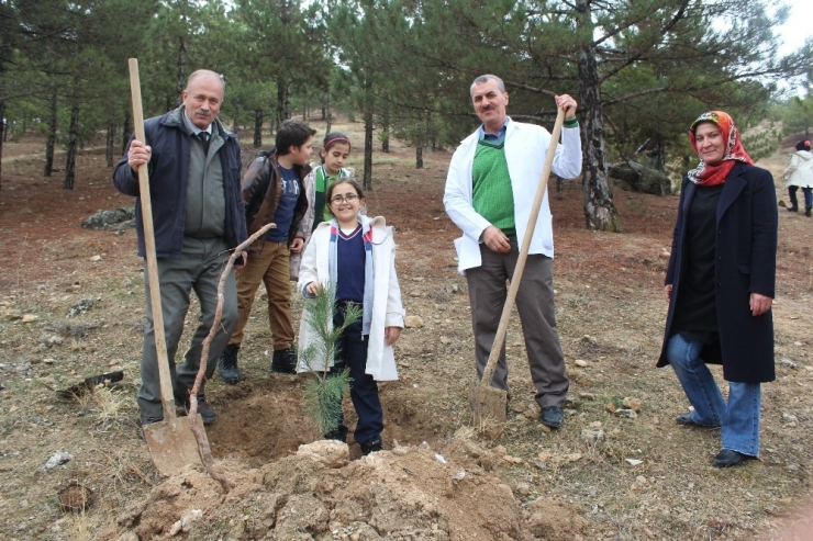 Öğrenciler Ağaç Dikme Eğitimi Verildi