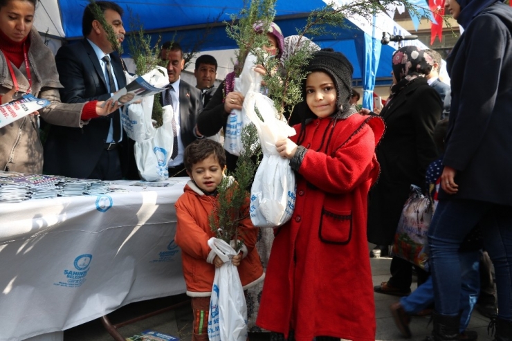 Şahinbey’de 400 Bin Fidan Dağıtıldı