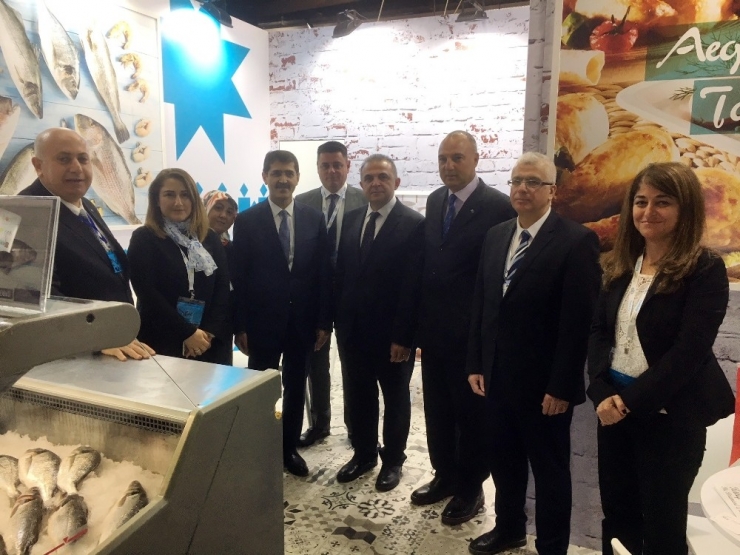 Türk Balıkları Hava Kargo İle İsrail’e Uçuyor, İhracat Katlanıyor