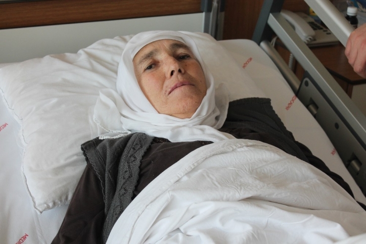 24 Torunlu Elmast Nine, Laparoskopik Cerrahi İle Sağlığına Kavuştu