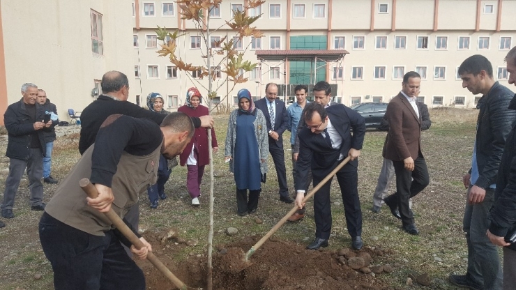 Bingöl’de Hastane Bahçesine Fidan Dikildi