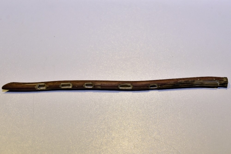 Ne Zurna, Ne Mey, Ne De Sipsi; Onun Adı Gevreyik Düdüğü