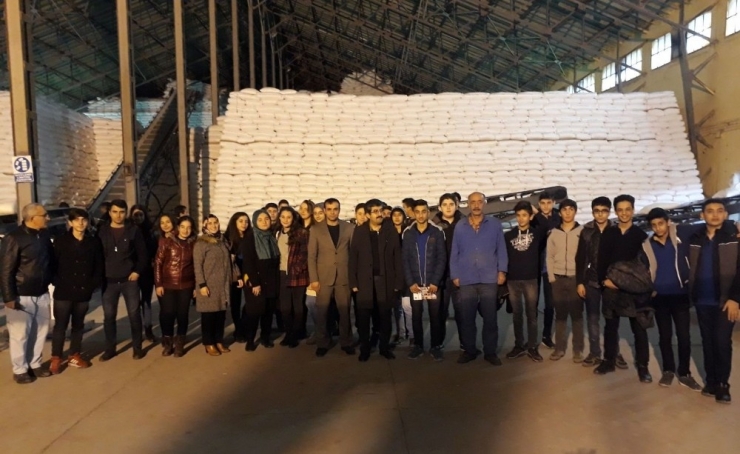 Öğrenciler Şeker Fabrikasını Gezdi