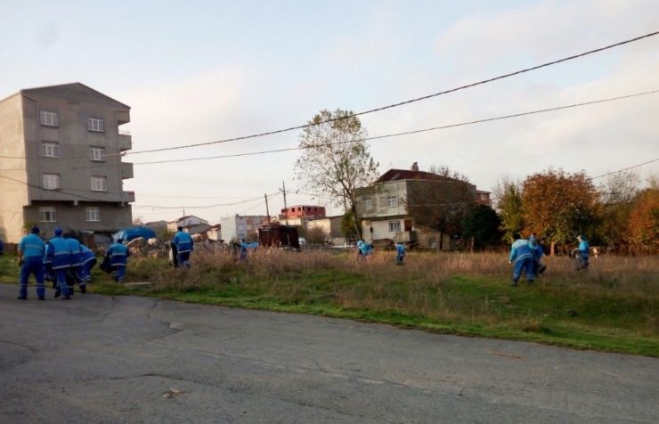 Arnavutköy’de Sonbahar Temizliği Devam Ediyor