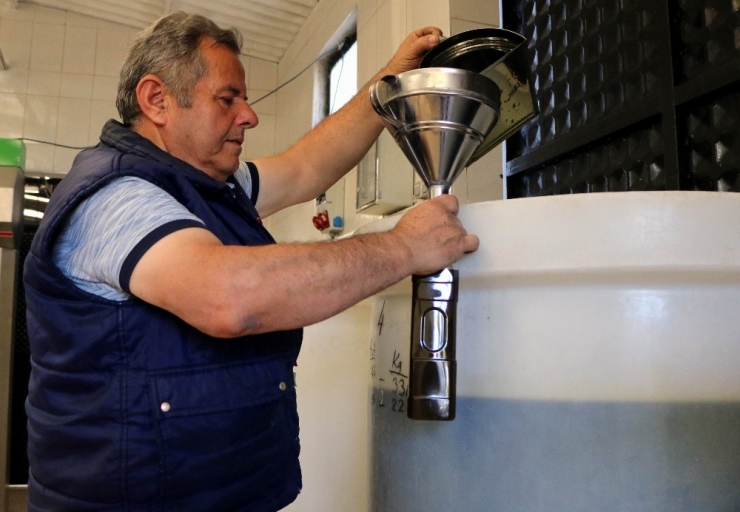 Zeytinyağında Yanlış Bilinen Doğrular